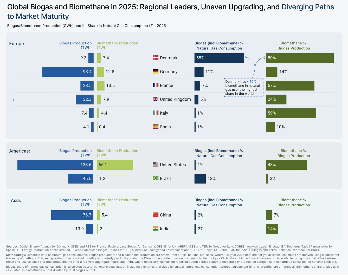 From Potential to Production: The Accelerating Reality of Global Biogas ...