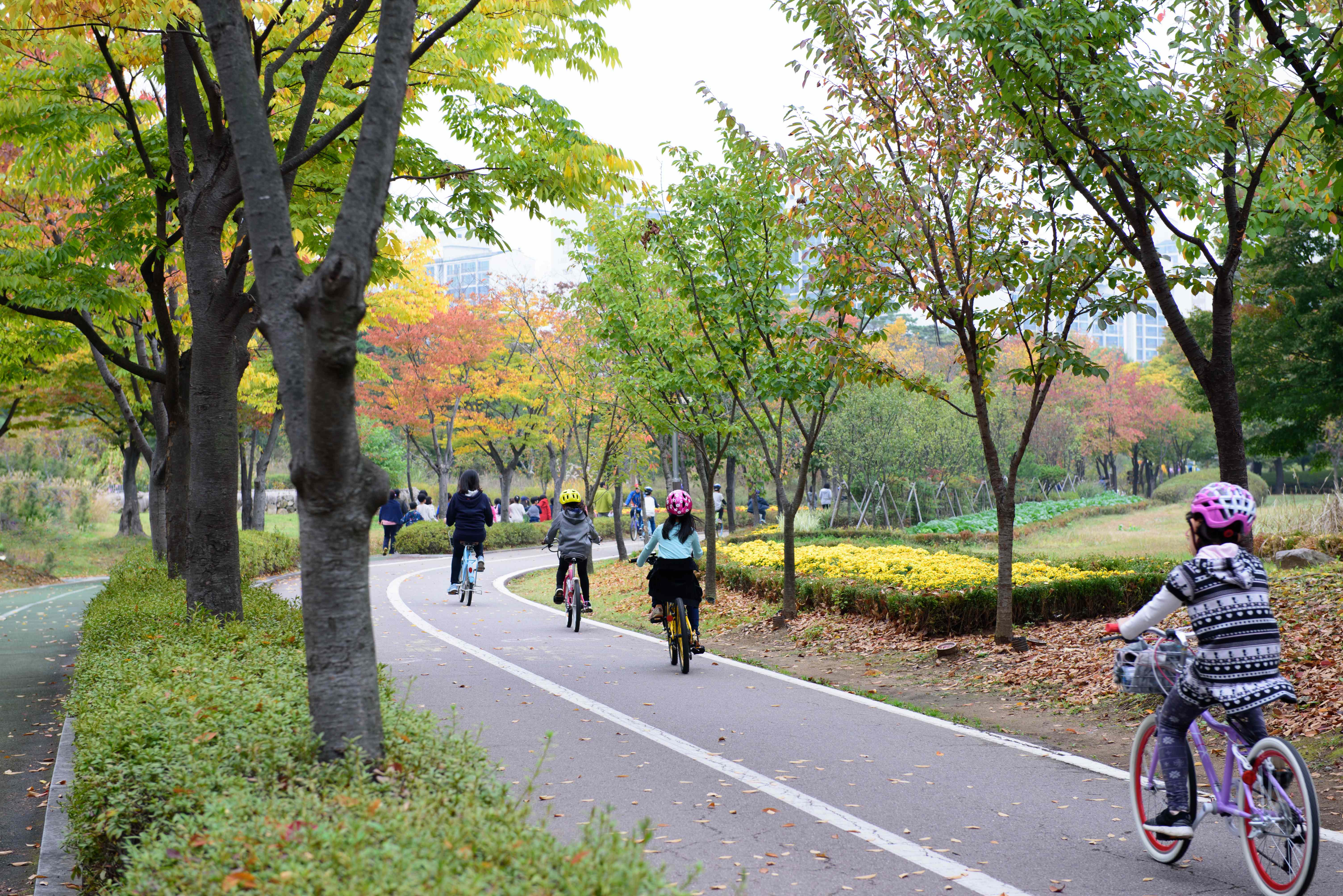 Sortie en groupe de jeunes enfants sur une piste cyclable dans un parc