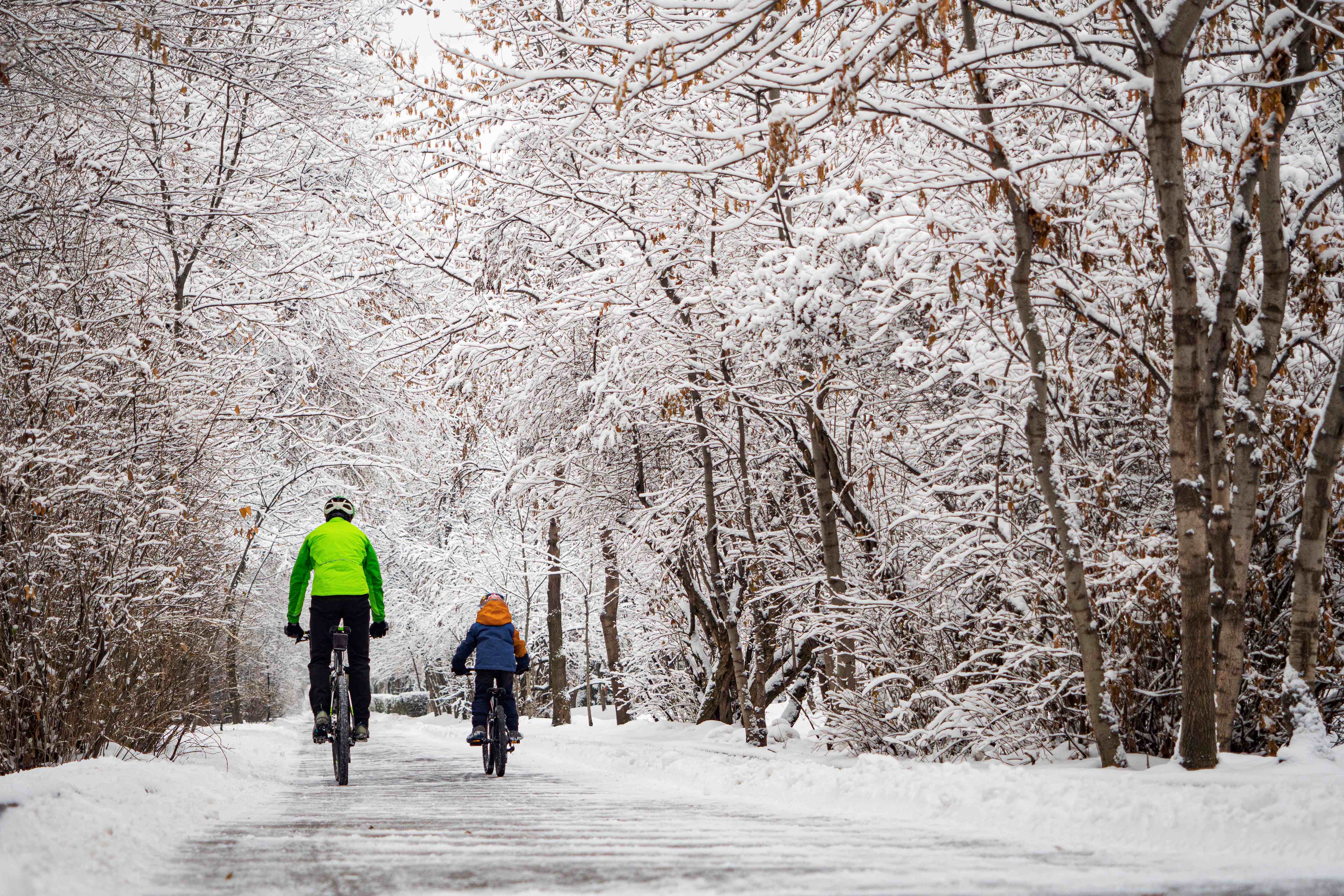 Family cycling in winter on a snow-cleared infrastructure