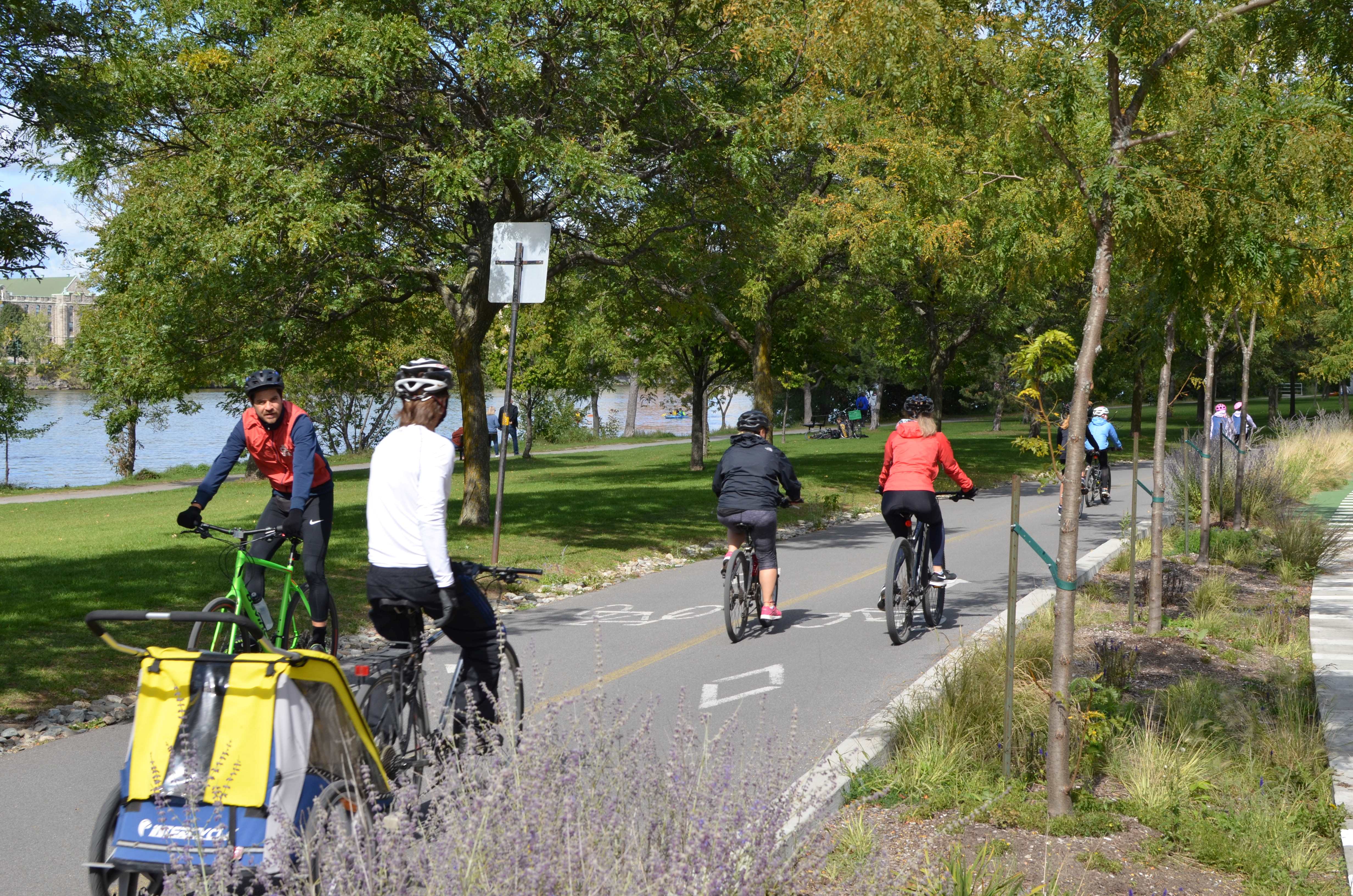 Numerous cyclists on a dedicated cycle path in a park