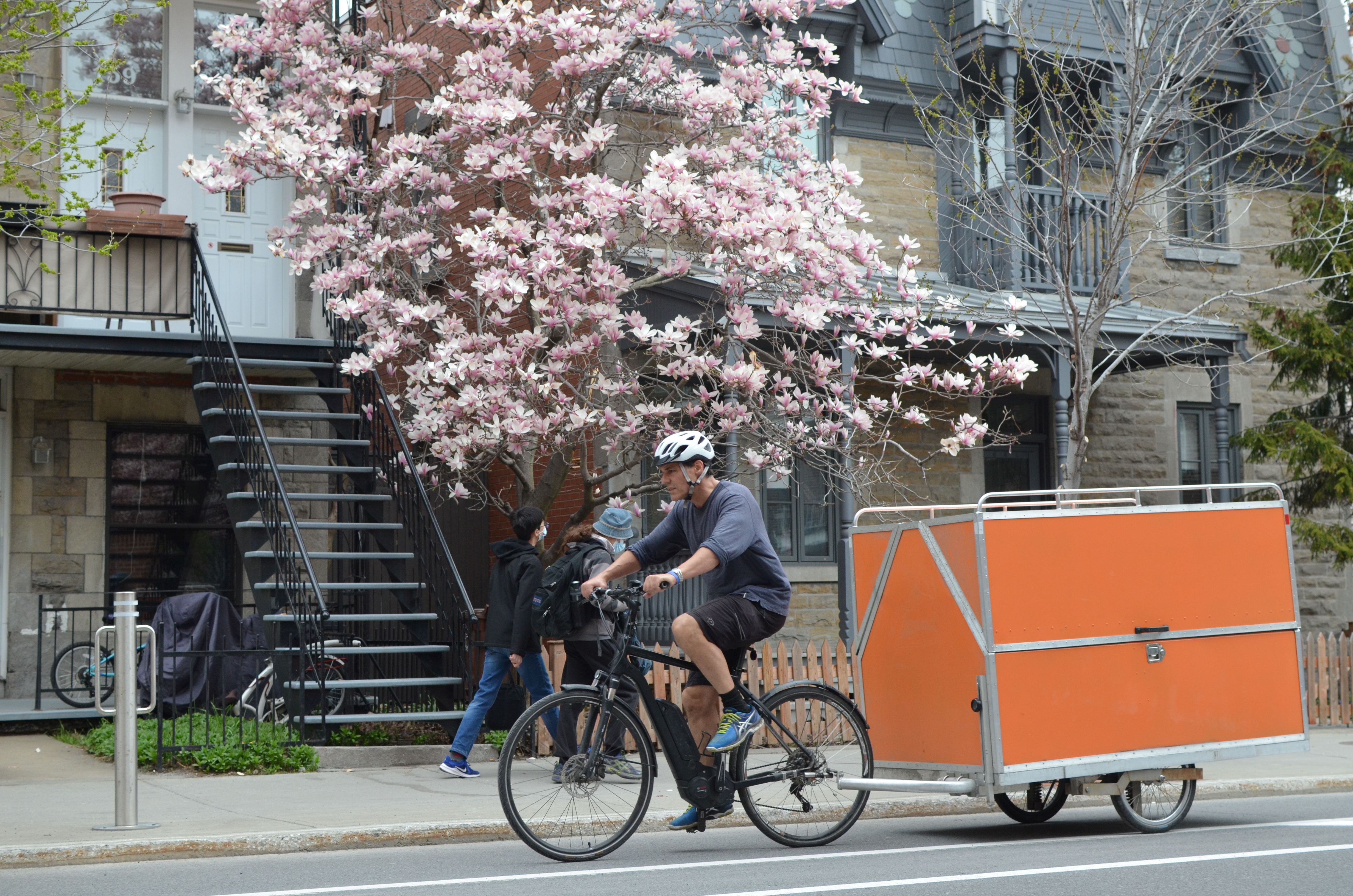 Vélo et remorque transportant des colis (cyclologistique)