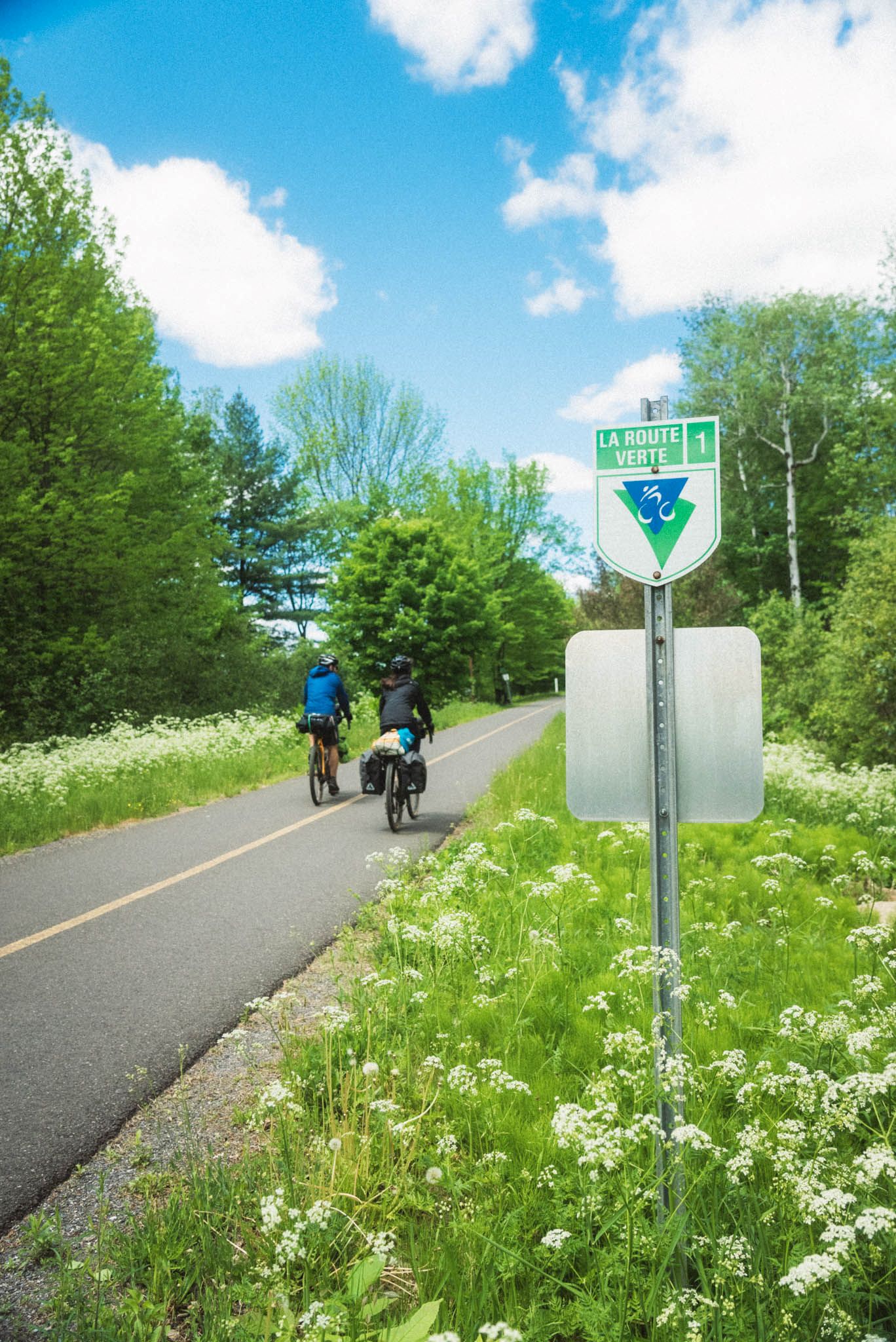 Cyclotouristes sur la route verte