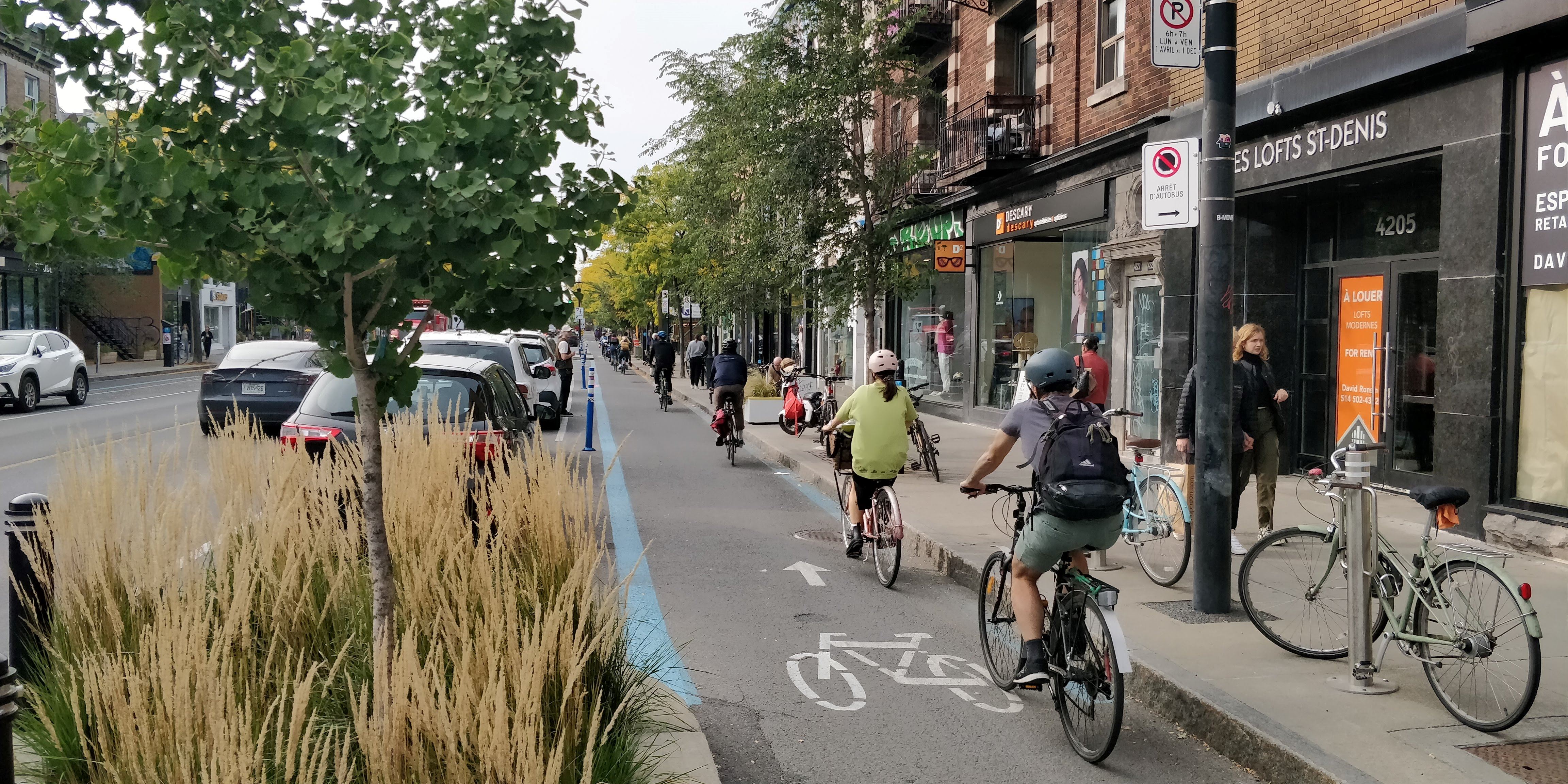 Cyclistes sur une rue commerciale (Saint-Denis à Montréal)