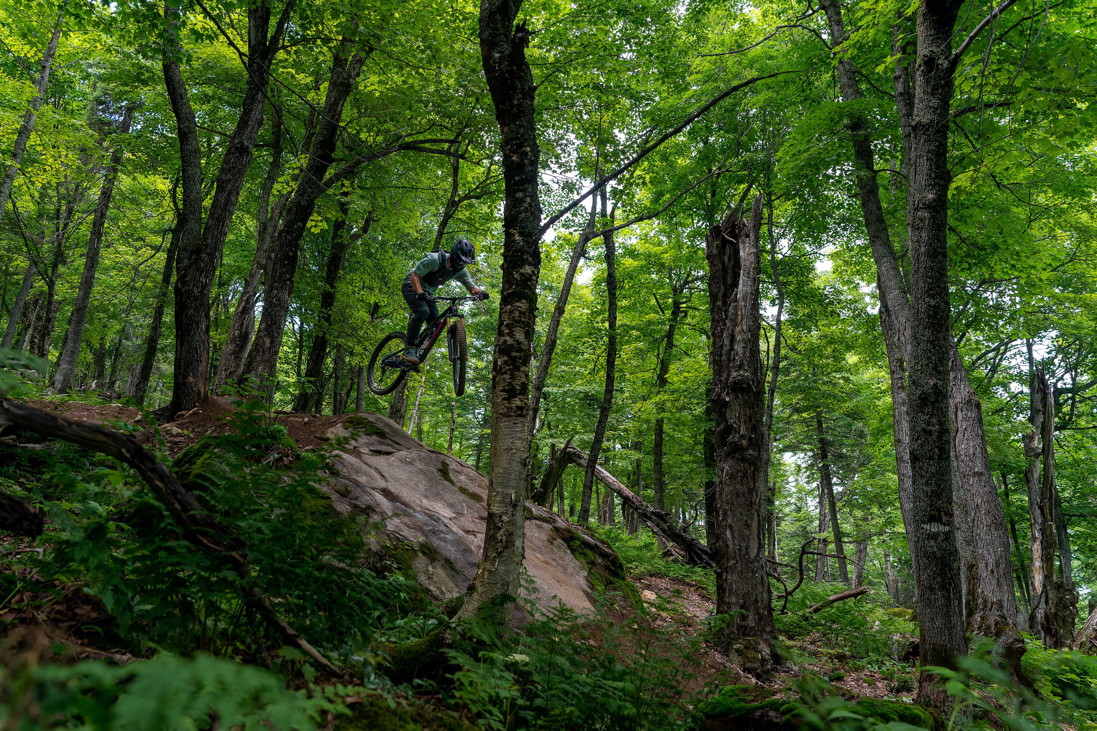 Pratiquant de vélo de montagne (descente) effectuant un saut sur un sentier dans les bois
