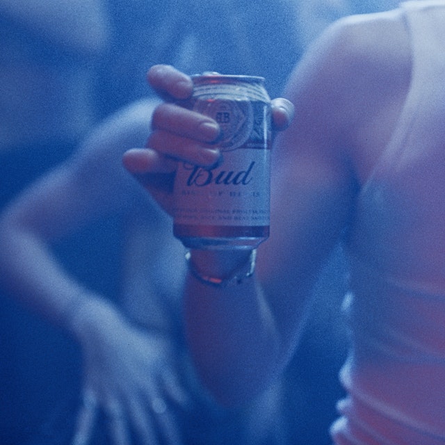 image of bud series