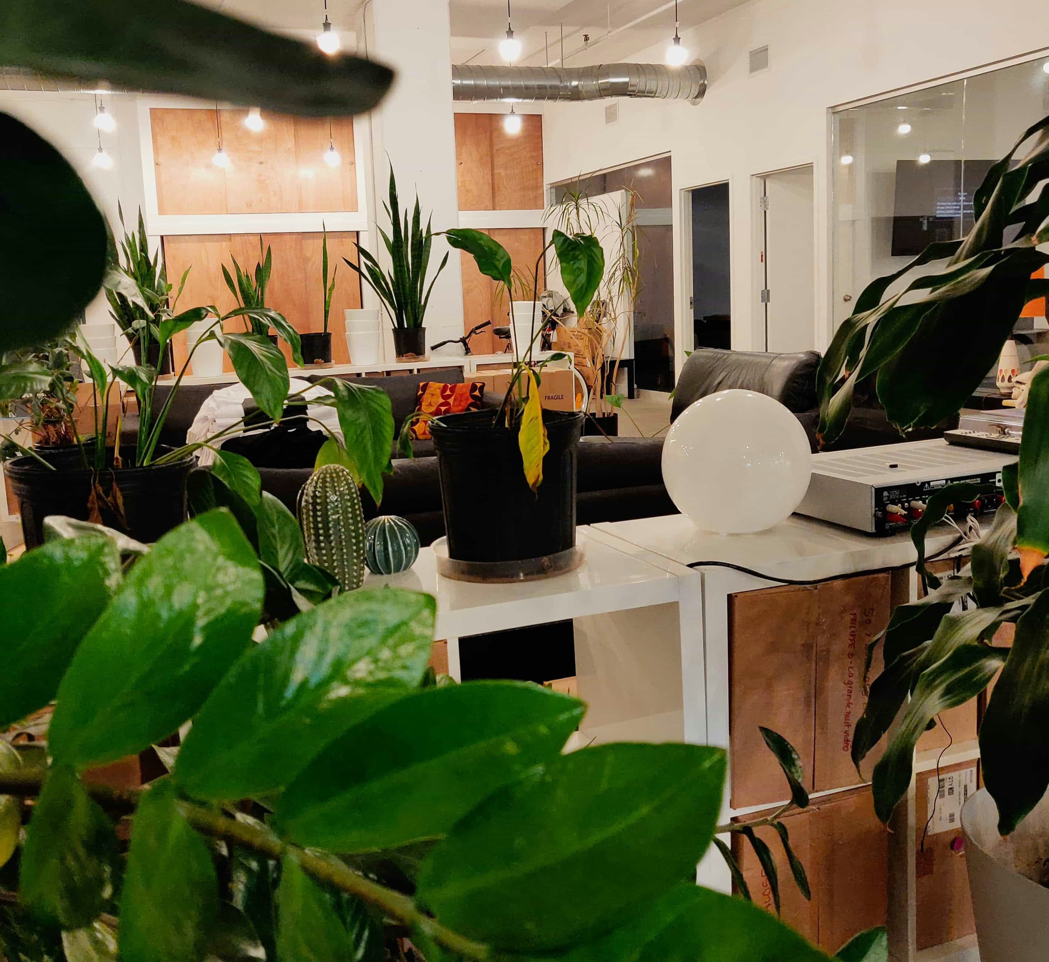 IMG_20180928_175251-copie.jpg Bonsound office, Montreal, QC, Canada.