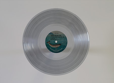 Ian Tamblyn - Magnetic North vinyl record