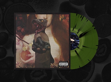 Elcamino vinyl record