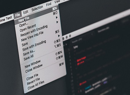 Software workstation interface