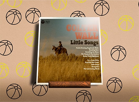 Brandon_Colter_Wall.jpg Illustration featuring Colter Wall album cover