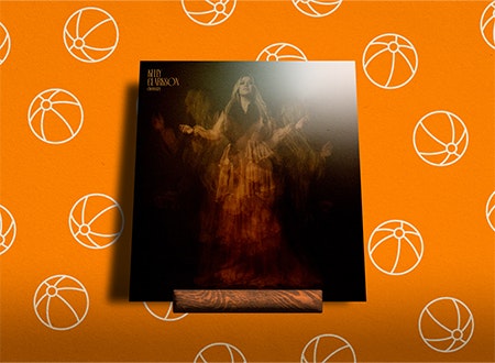 Shantelle_Kelly_Clarkson.jpg Illustration featuring Kelly Clarkson album cover