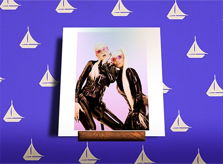 Leanna_Kim_Petras.jpg Illustration featuring Kim Petras album cover