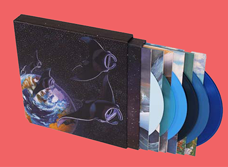 Protest the Hero 10-inch box in various colors.