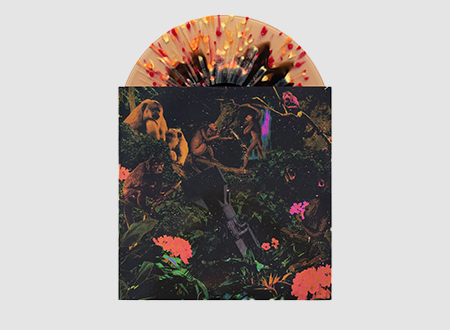 Vinyl with multi color visual effects inside the sleeve.
