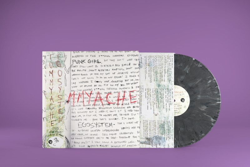 Tummyache Egosystem Graphite Eco Mix (EM6) vinyl and printer inner sleeve inside the jacket.