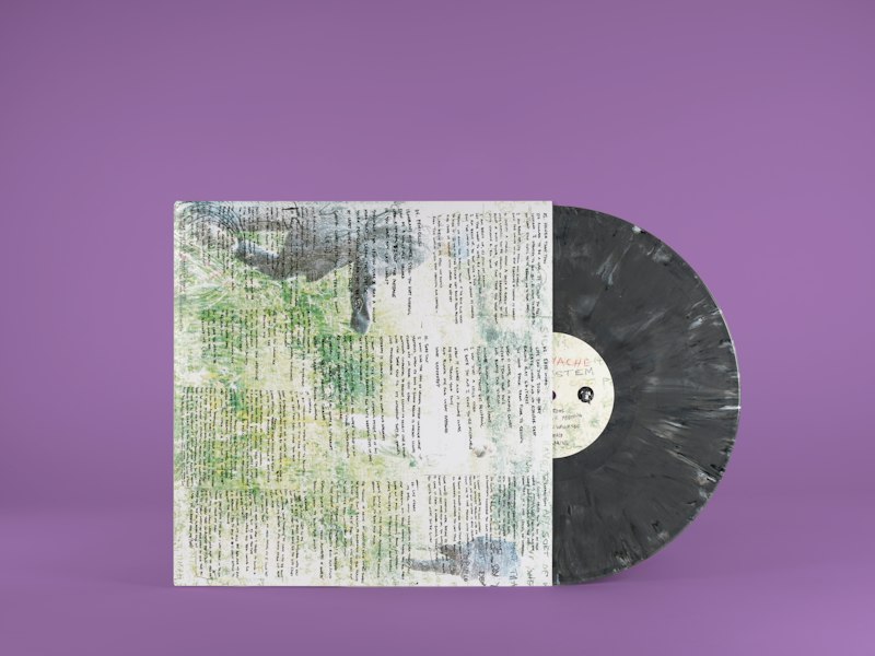 Tummyache Egosystem vinyl printed and inner sleeve.