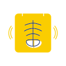 Bulk Billed X-Ray