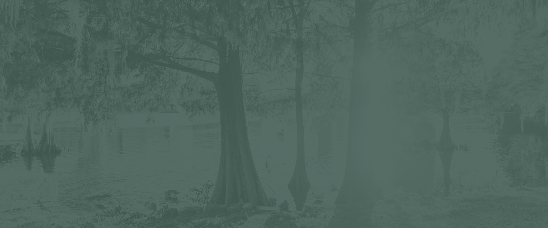 Banner media