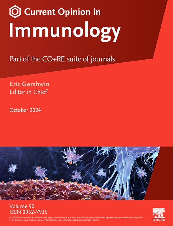 Studying interactions between dendritic cells and T cells in vivo