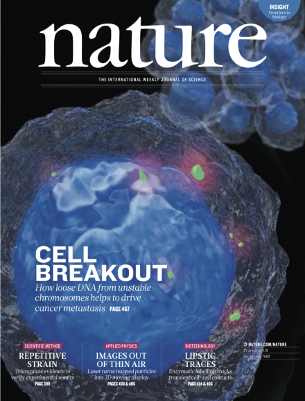 Monitoring T cell-dendritic cell interactions in vivo by intercellular enzymatic labelling
