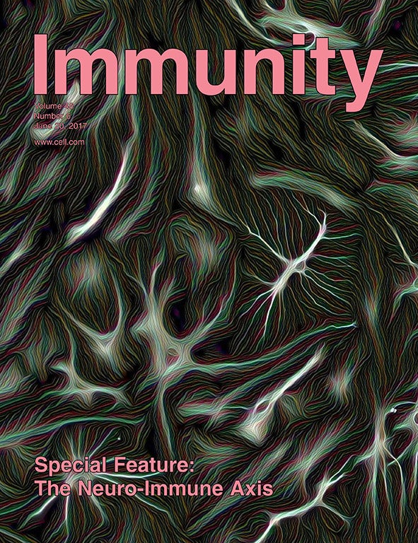 Germinal Center Selection and Affinity Maturation Require Dynamic Regulation of mTORC1 Kinase