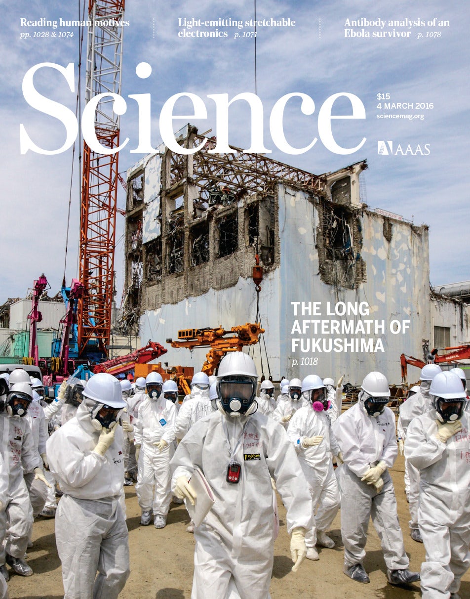 Visualizing antibody affinity maturation in germinal centers