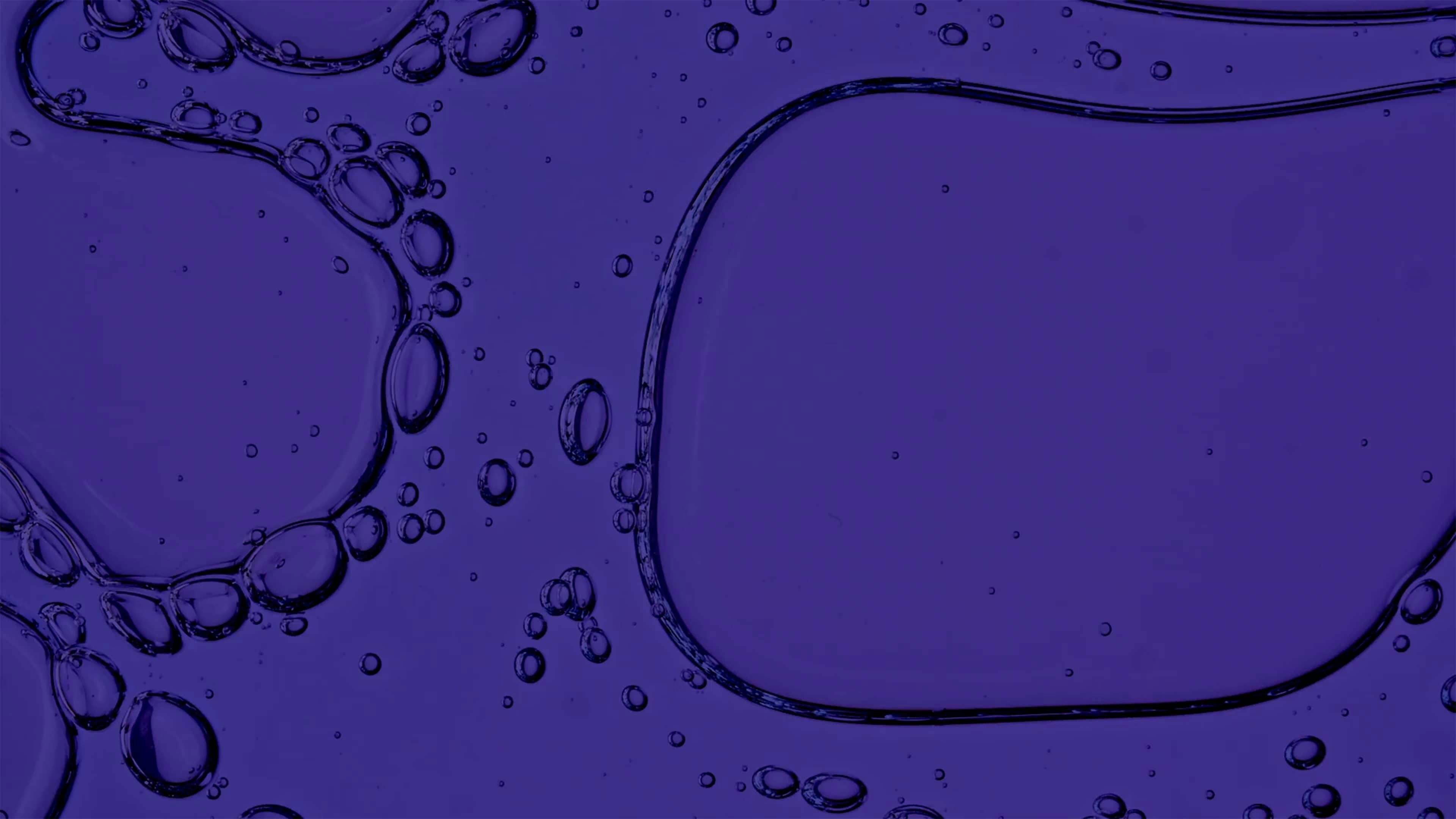Synthetic Immunology Laboratory