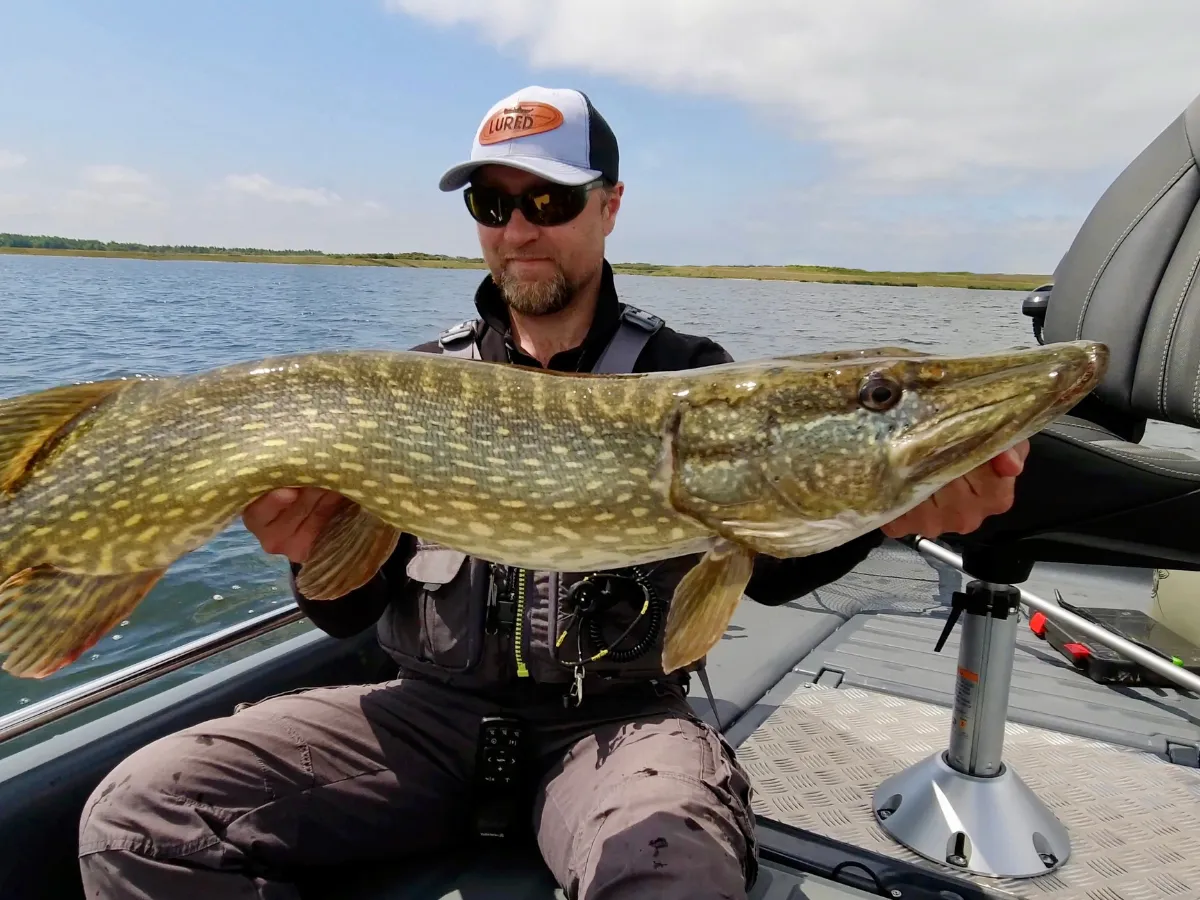 A Catch on a Hydra 450 Small Fishing Boat