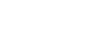 palo alto logo