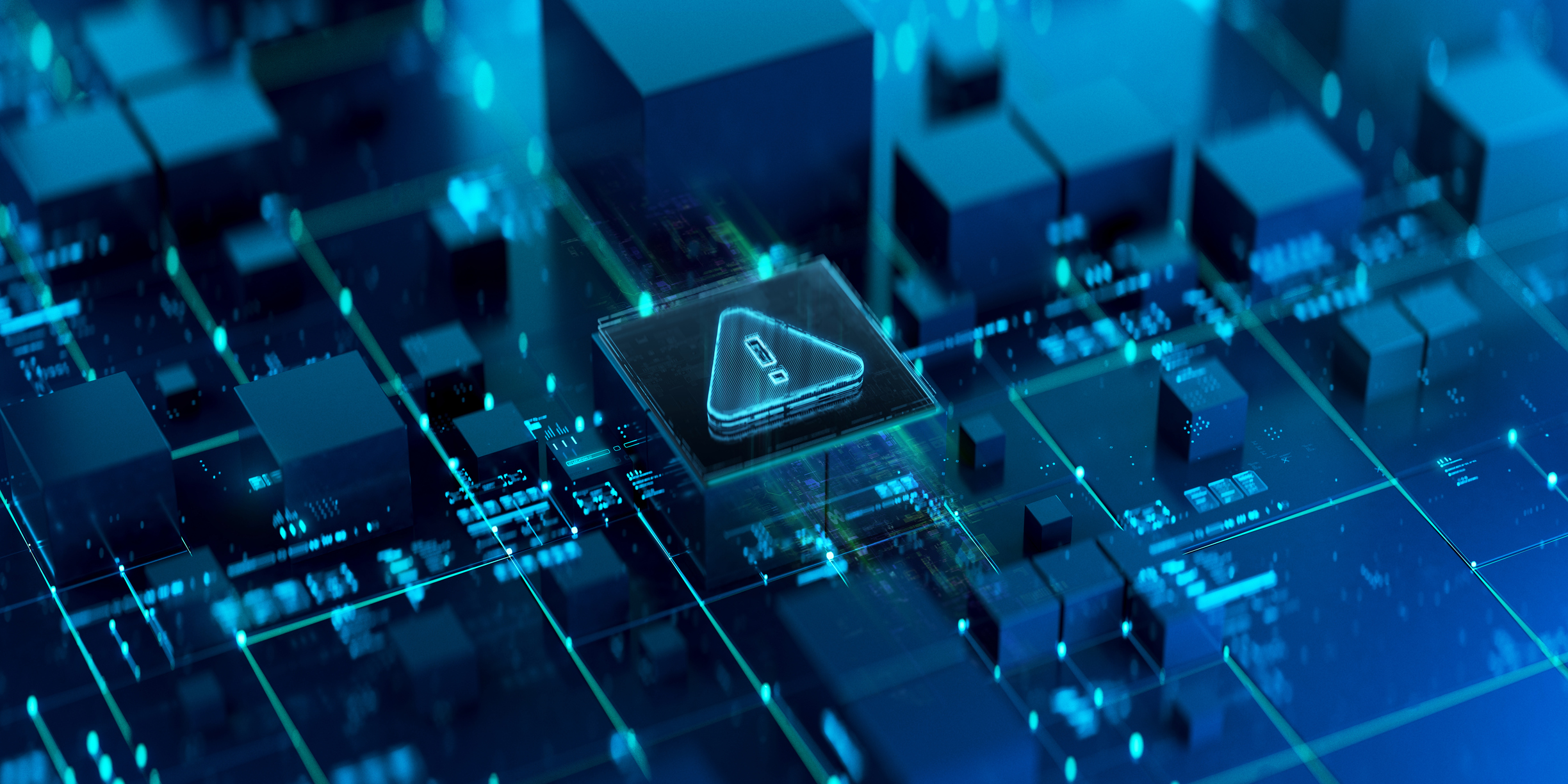 Vulnerability Management Services
