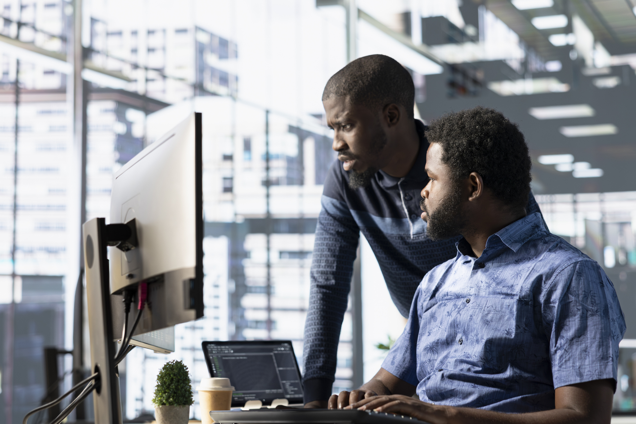 IT Project Consultant Works with IT Professional
