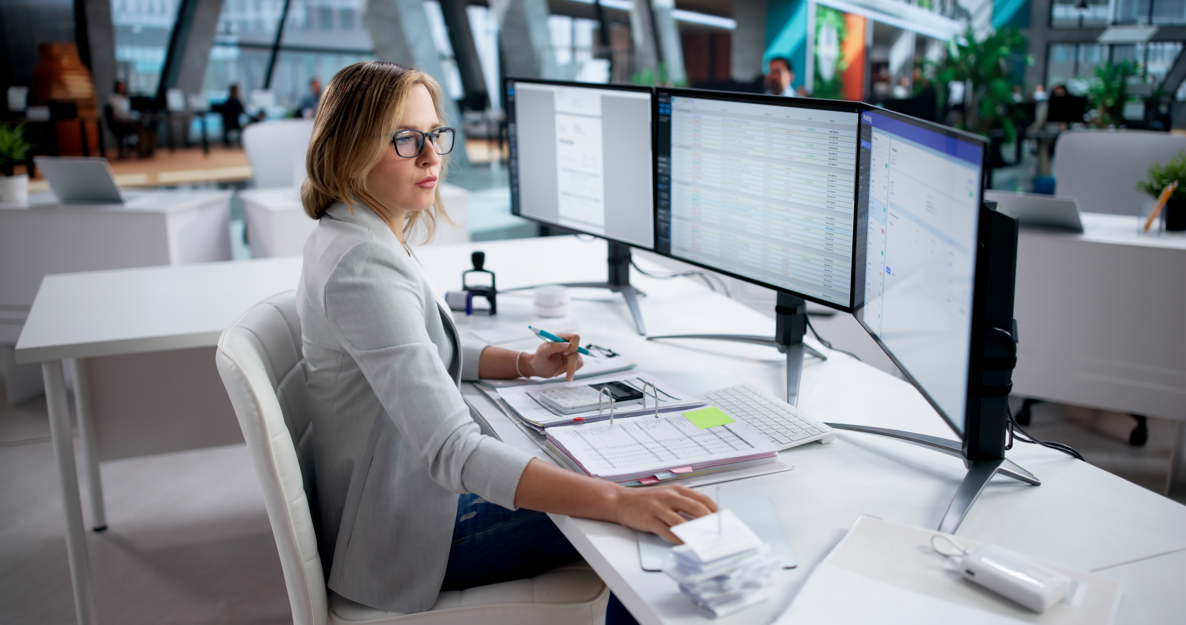 Professional Accountant Review a Client's File
