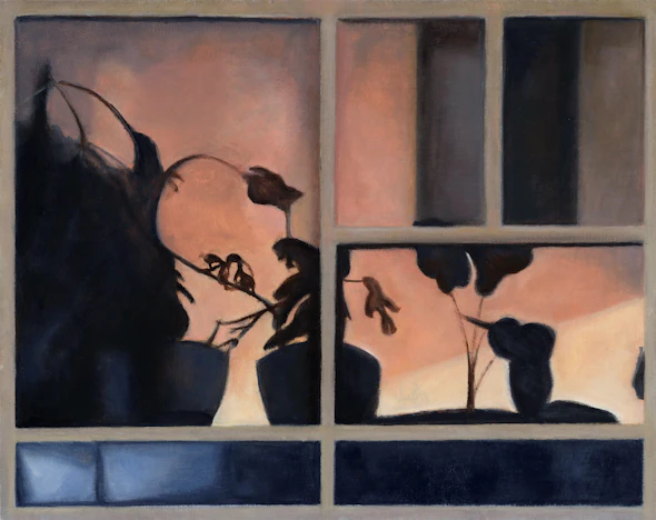 Night Window Shadows