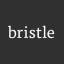Bristle logo