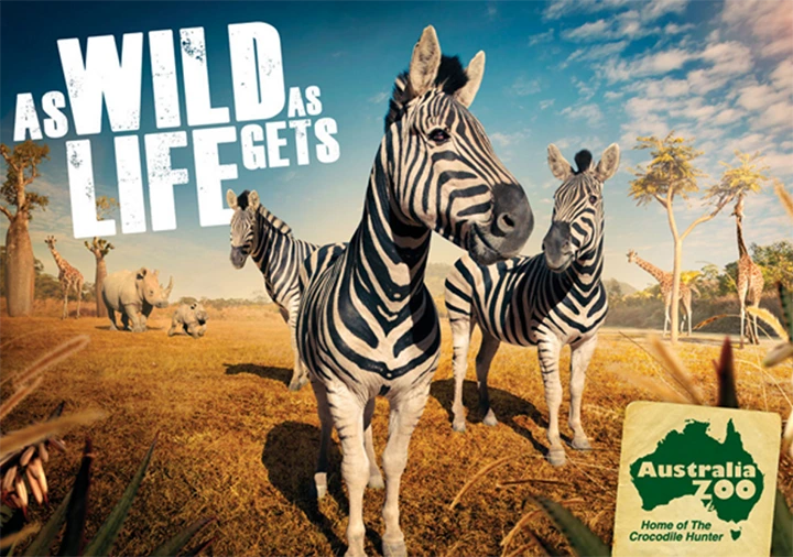 Promotional ad from Australia Zoo featuring zebras in a savannah setting with large, bold text that reads “As Wild As Life Gets,” evoking adventure and wildlife.