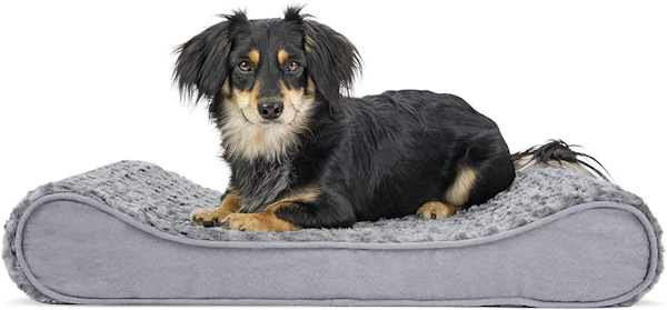 Furhaven Orthopedic Dog Bed