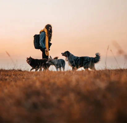 dogs-and-owner-in-field