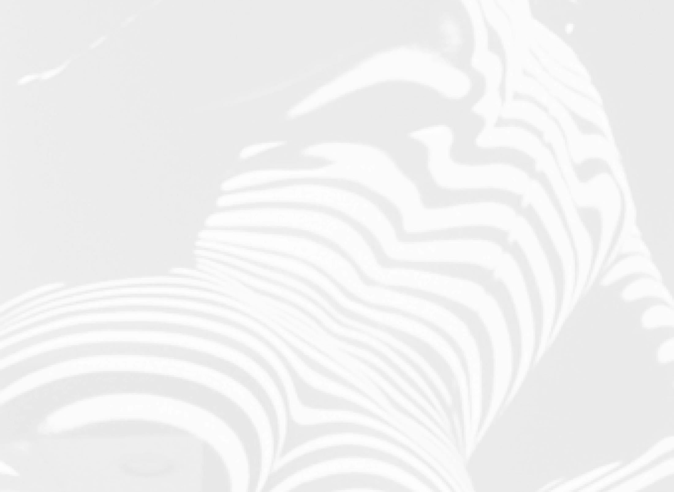 Faded black and white image