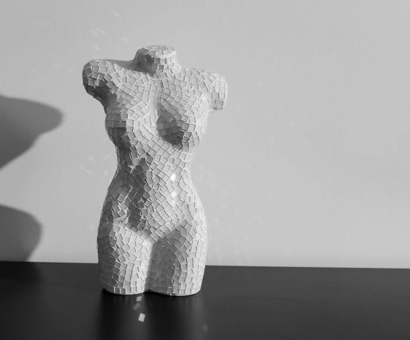 bust of a woman's body