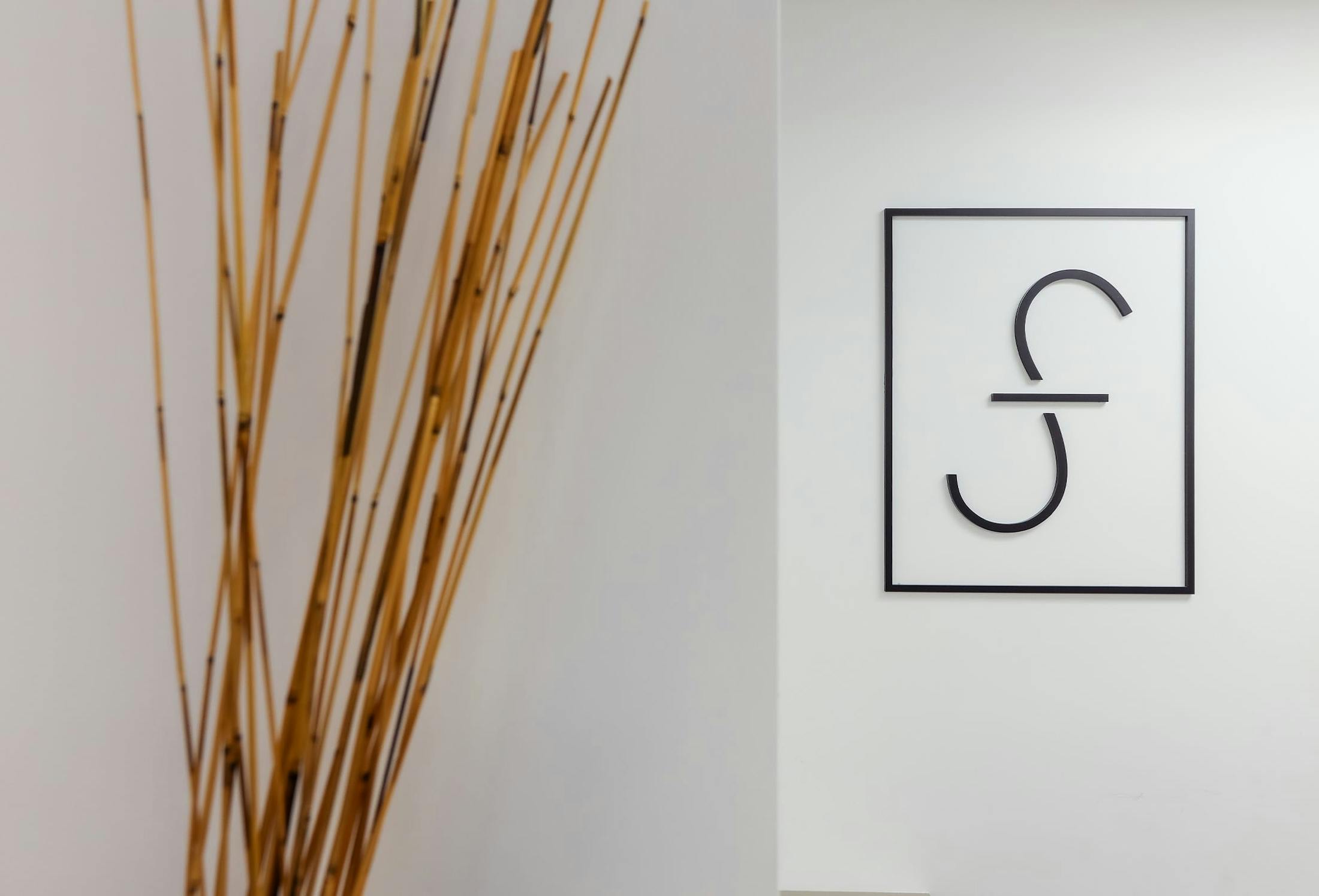 SF logo on a wall