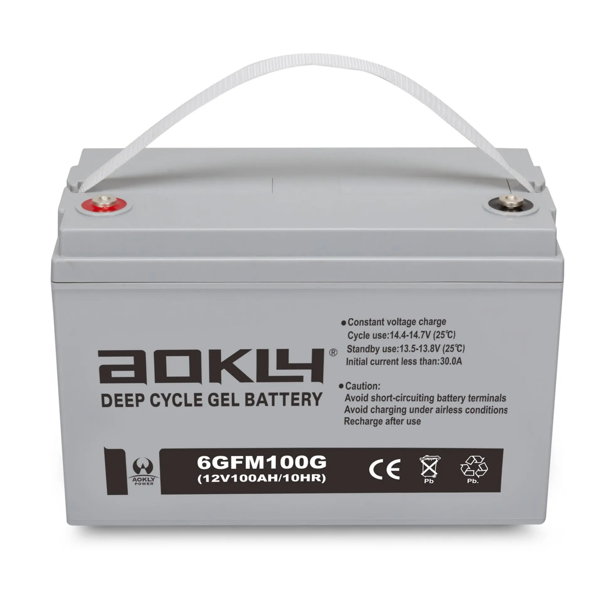 Batería de Gelatina Aokly 12V 100AH