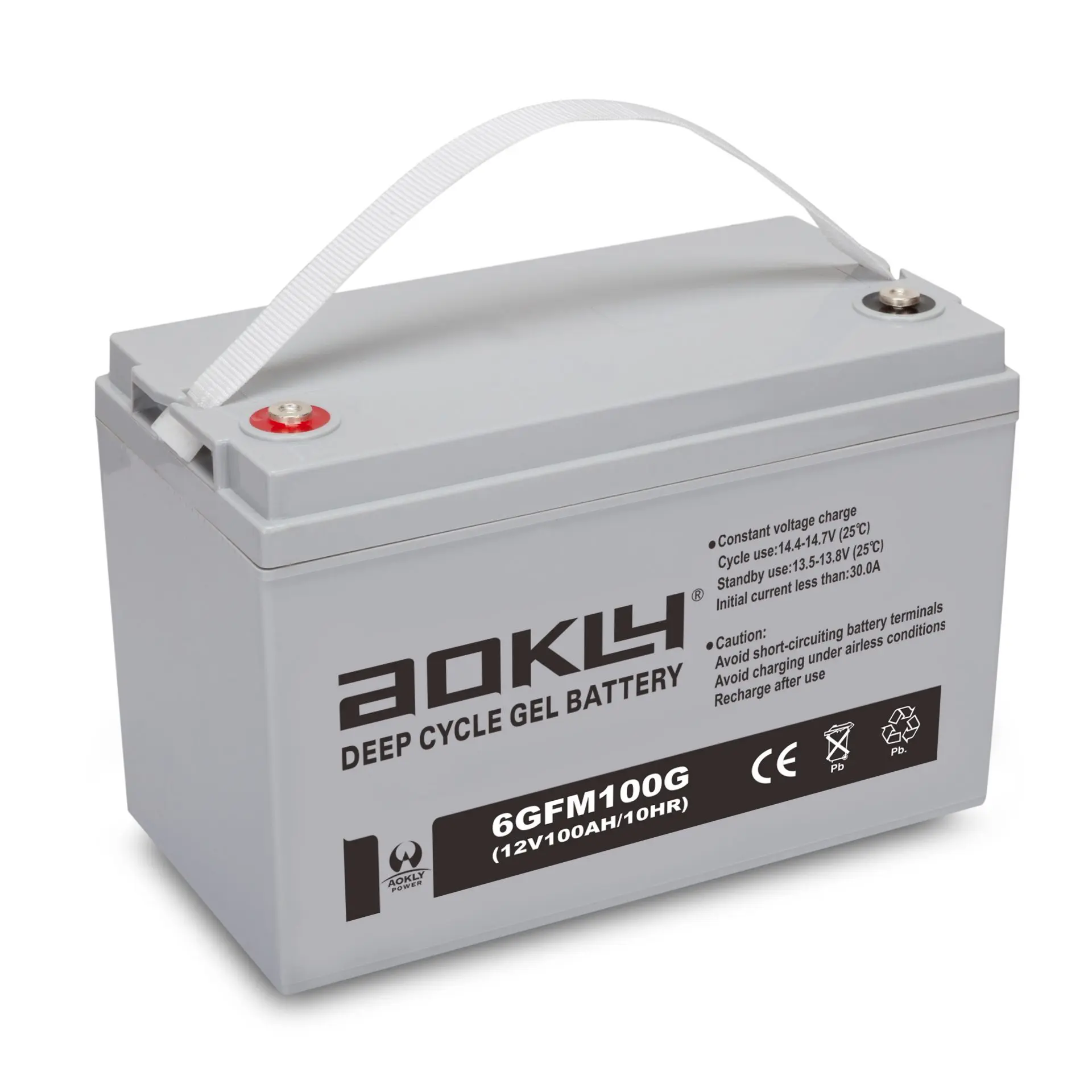 Batería de Gelatina Aokly 12V 100AH