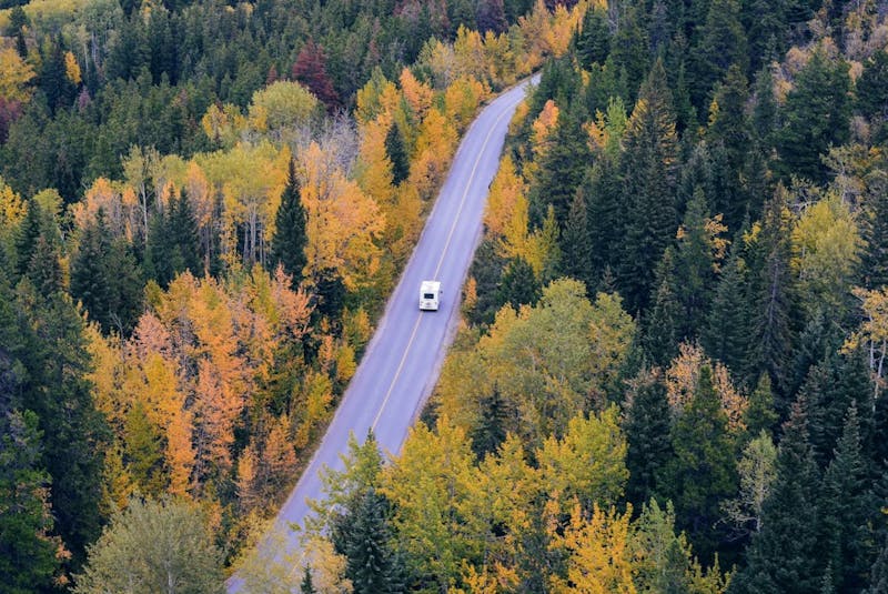 A car on a road in a forested area