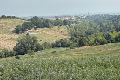 Why your Bioinoculant never actually worked (even though you thought it did)?