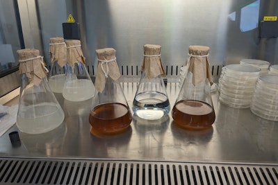 Biostimulants in Agriculture: Why they matter?