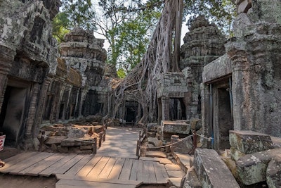 Ta Prohm: El templo que la selva abrazó