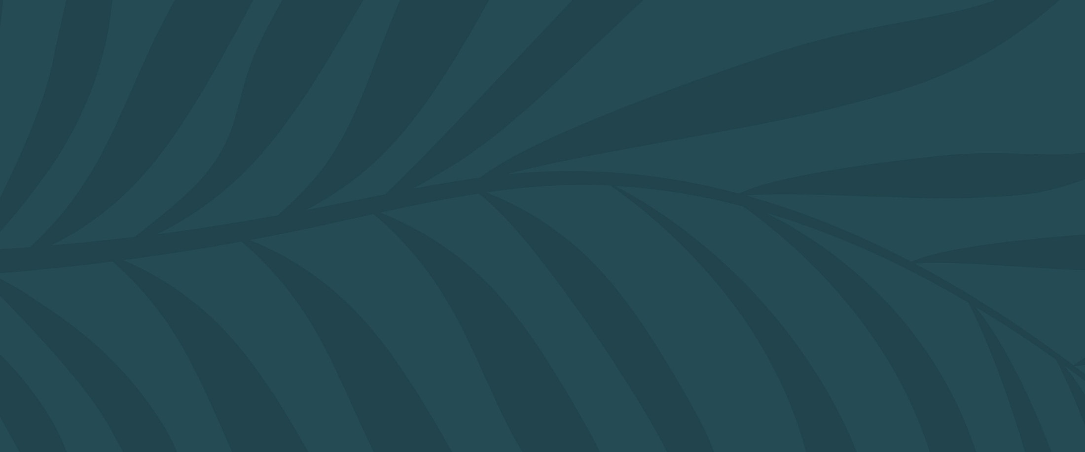 Banner media