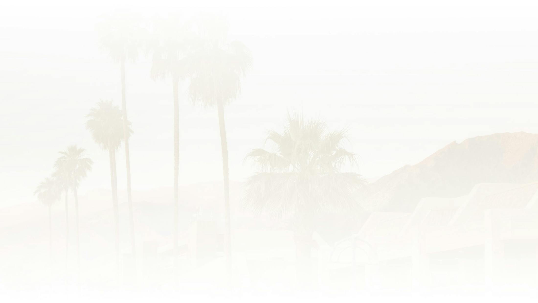 Background image of trees