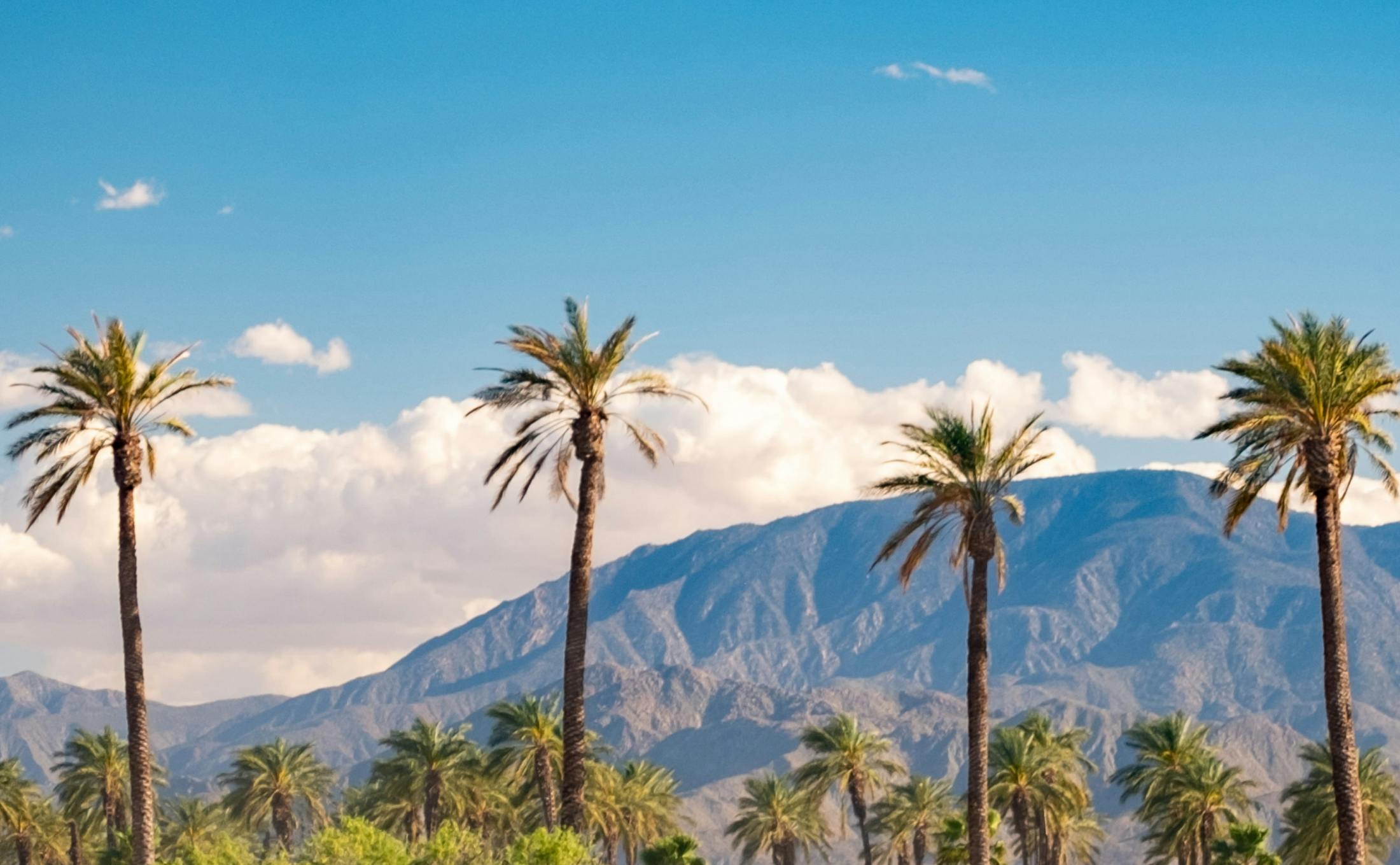 California mountains and palm trees