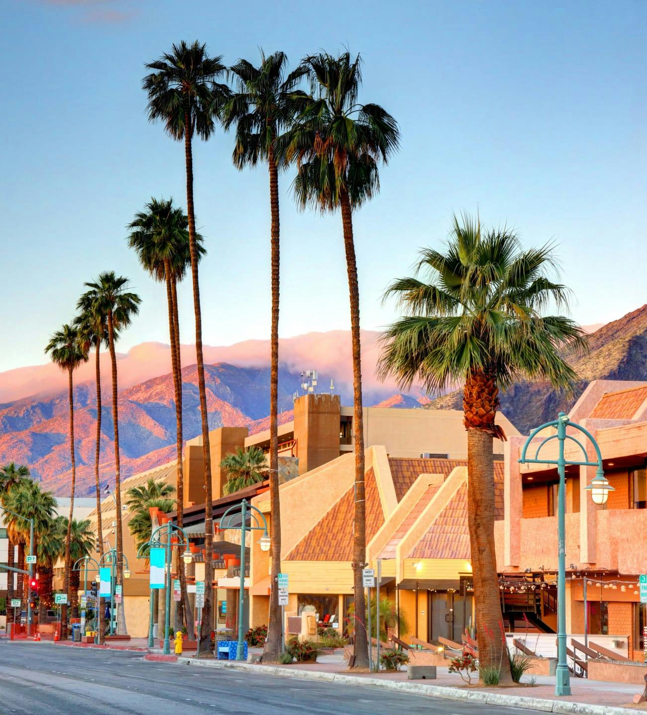 Palm trees on a street